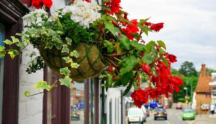 America’s Best Spring Flower Festivals