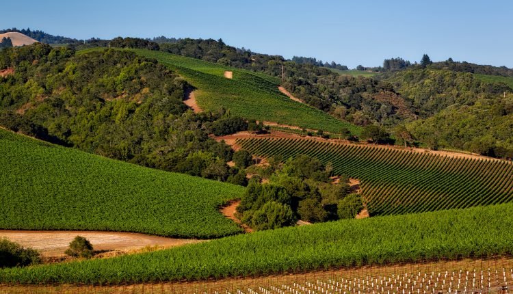 Sonoma city in California